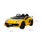 12V Lamborghini Aventador SVG Sports 1 Seater Ride on Car - Dti Direct USA