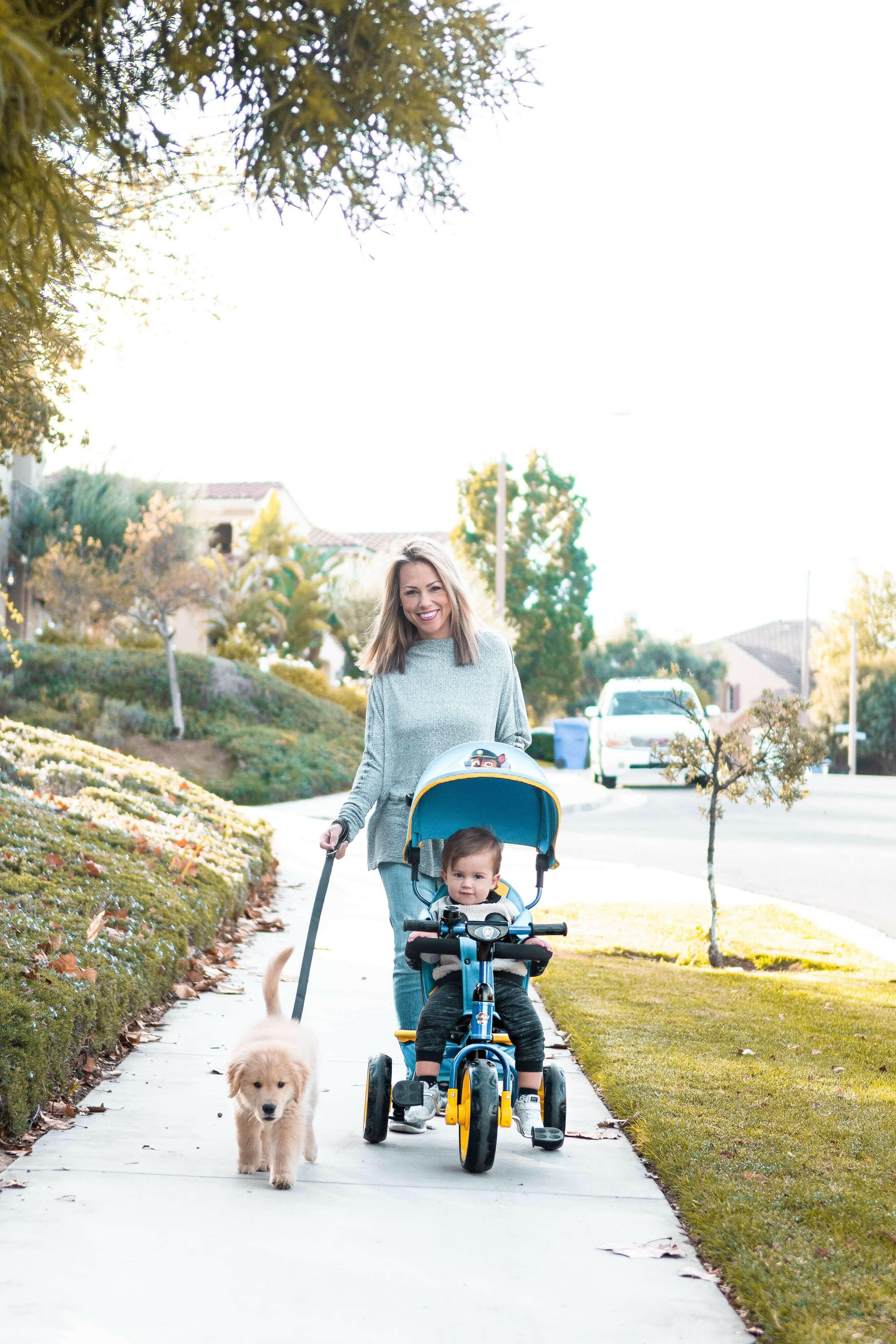 Kids Nickelodeon Paw Patrol Chase 4-in-1 Push and Ride Stroller Tricycle - Kids Eye Candy 