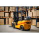 4 Wheel Forklift | Liquid Propane | 6000 lbs Capacity | EKKO EK30TLP