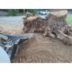 Stump Bucket | Blue Diamond Attachments - Image 10