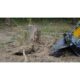 Stump Bucket | Blue Diamond Attachments - Image 8