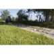 Power Rake | 96'' | Blue Diamond Attachments - Image 9