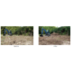 Blue Diamond Heavy Duty Excavator Rake – ½" Tines, 24–60" Width - Image 2