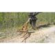 Blue Diamond Excavator Tree Grubber Attachment – Permanent Taproot Removal - Image 5