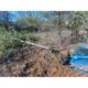 Tree Shear | Blue Diamond Attachments - Image 9