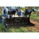 Grapple Bucket | Standard Duty | Loflin Fabrication